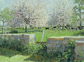 Vacas en el huerto, 1988